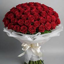 Букет 101 Красная роза Блэк Мэджик в Бегичевский