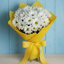 Букет цветов из:  Хризантемы в Бегичевский