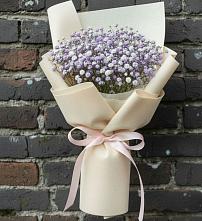 Букет цветов из:  Гипсофила в Бегичевский