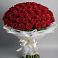 Букет 101 Красная роза Блэк Мэджик в Бегичевский