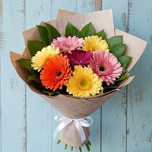 Букет цветов из:  Герберы #REPLACE_PRED# Бегичевский