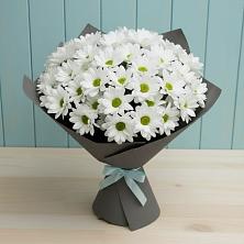 Букет цветов из:  Хризантемы в Бегичевский