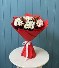 Букет цветов из:  Хризантемы в Бегичевский