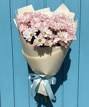 Букет цветов из:  Хризантемы #REPLACE_PRED# Бегичевский