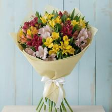 Букет цветов из:  Альстромерии в Бегичевский