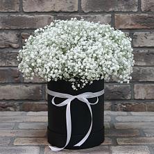 Цветочная композиция из Гипсофила в шляпной коробке в Бегичевский