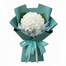 Букет цветов из:  Гортензия в Бегичевский
